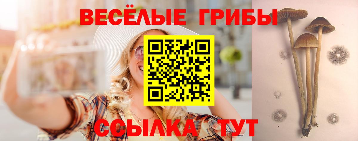 Псилоцибиновые грибы ЛСД  Вход с VPN  Галлюциногенные грибы Psilocybine cubensis  Семилуки 